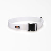 Painter's Heavy-Duty Work Tool Belt, 2"