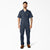 Dark Navy (DN)